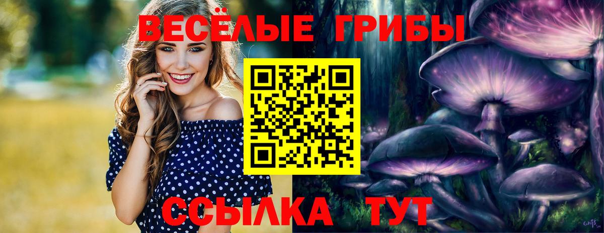 Псилоцибиновые грибы Psilocybe Семилуки
